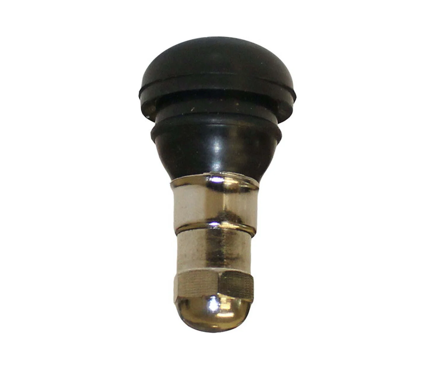 Short Tyre Valve With Silver Cap